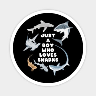 Just a Boy who loves Sharks Magnet